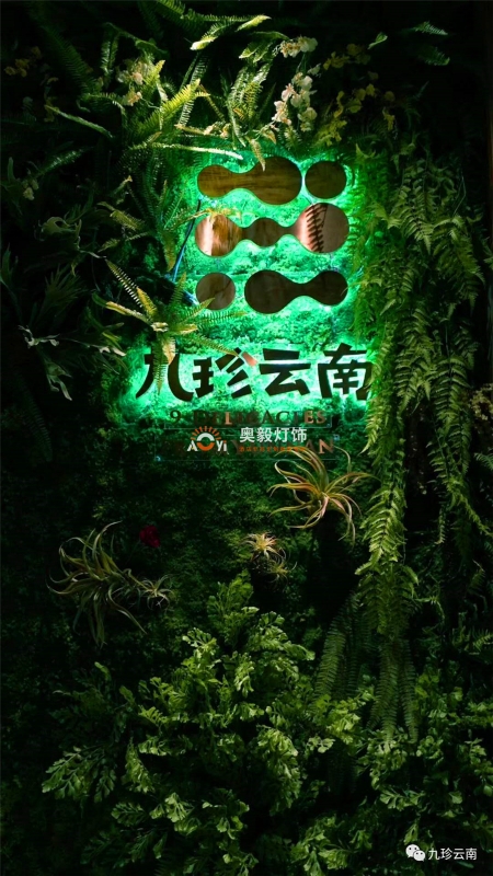 tyc1286太阳集团
工程案例 | 九珍云南音乐餐吧